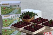 六爻教学高速赋能产业升级：一条“杨梅路”的致富密码